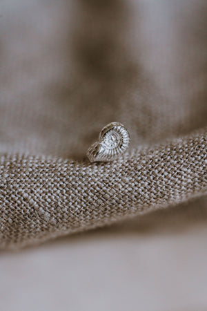 Petite Ammonite Single Stud