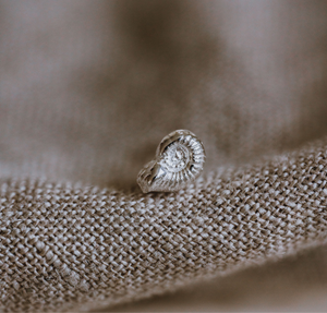 Petite Ammonite Single Stud