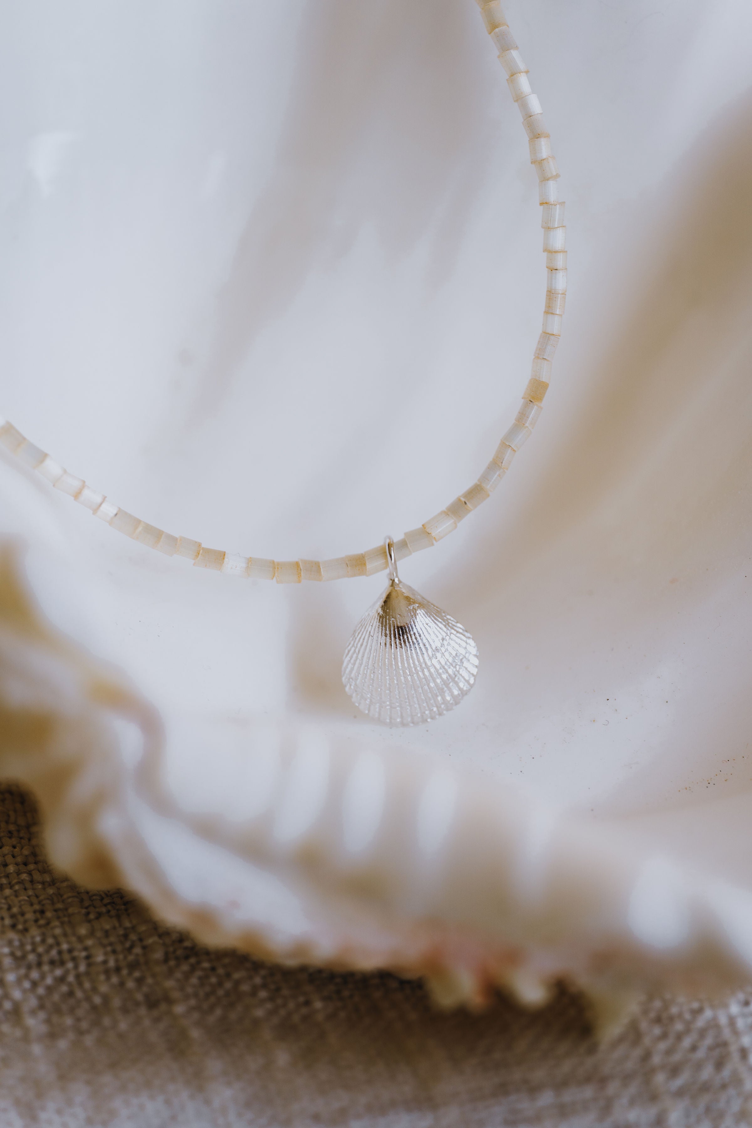 Devon Cockle Shell Pendant - Neutral Beaded Necklet
