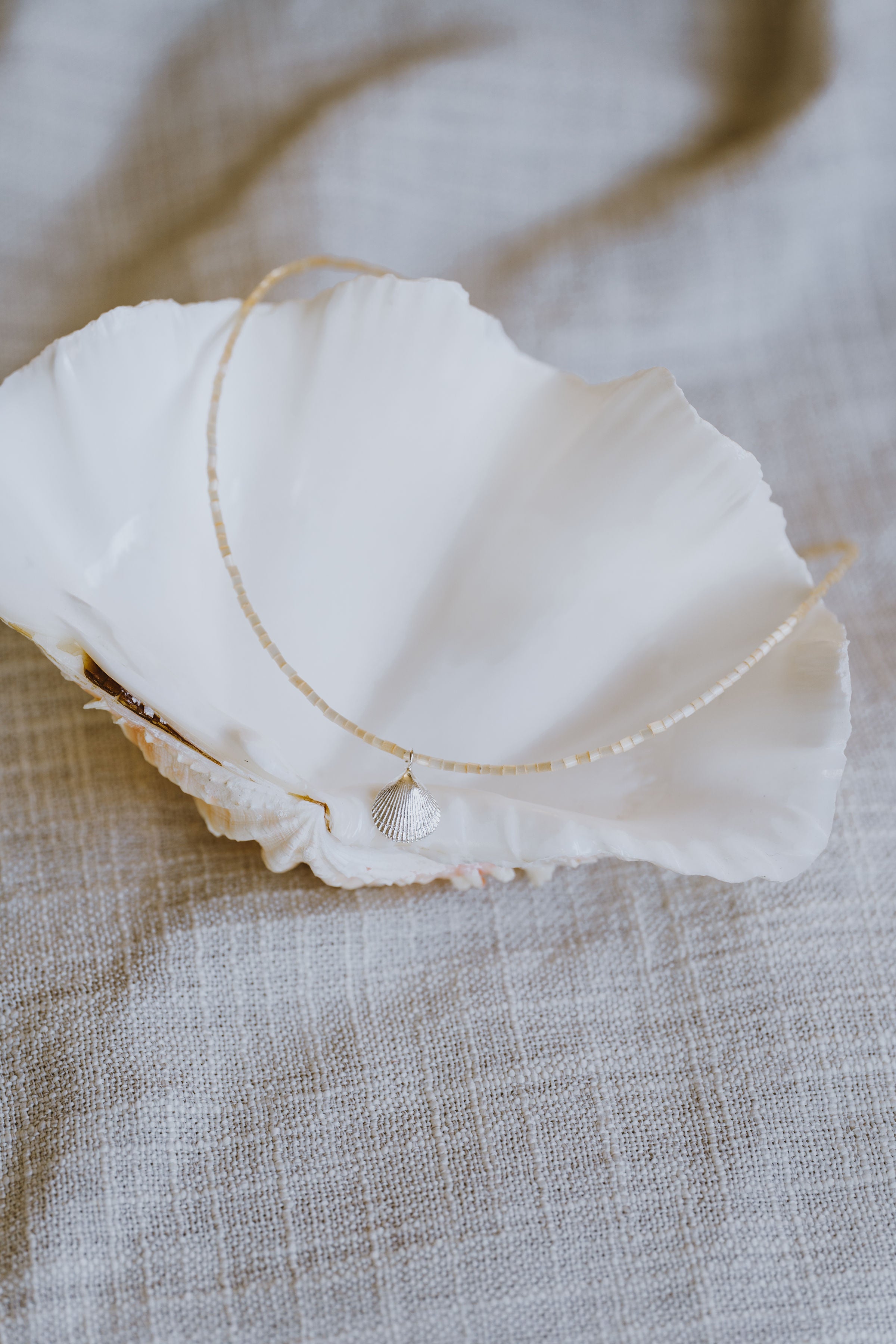 Devon Cockle Shell Pendant - Neutral Beaded Necklet
