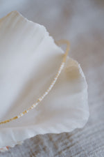 Devon Cockle Shell Pendant - Neutral Beaded Necklet